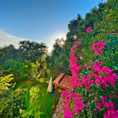 Apartment Miloni