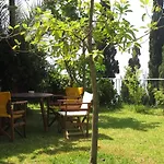 Miloni Lourdata (Kefalonia)